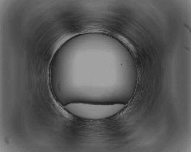 X0000093151431200709261007