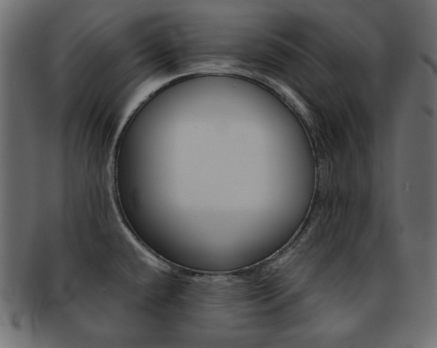 X0000093151432200709261007