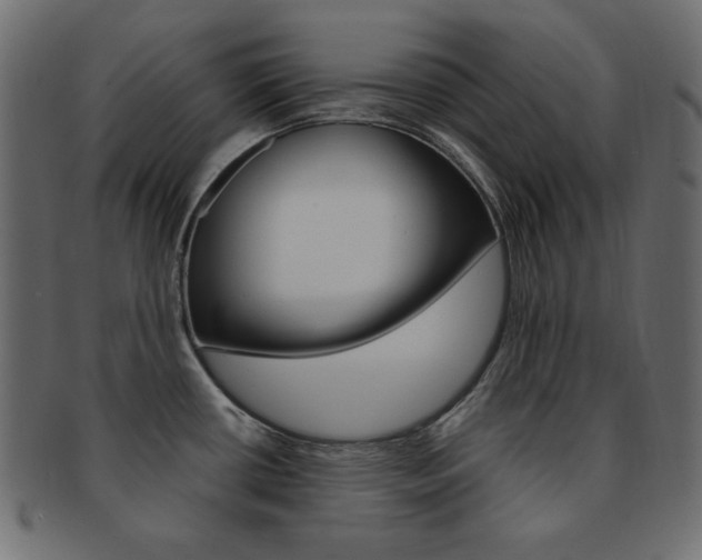 X0000093151434200709261007