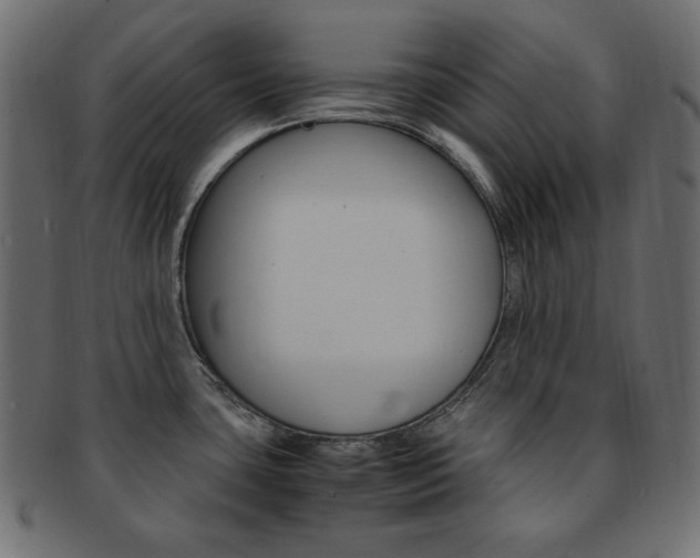 X0000093151435200709261007