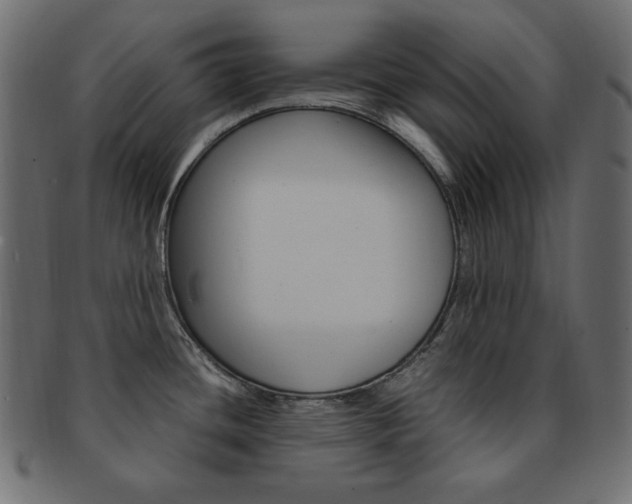 X0000093151436200709261007