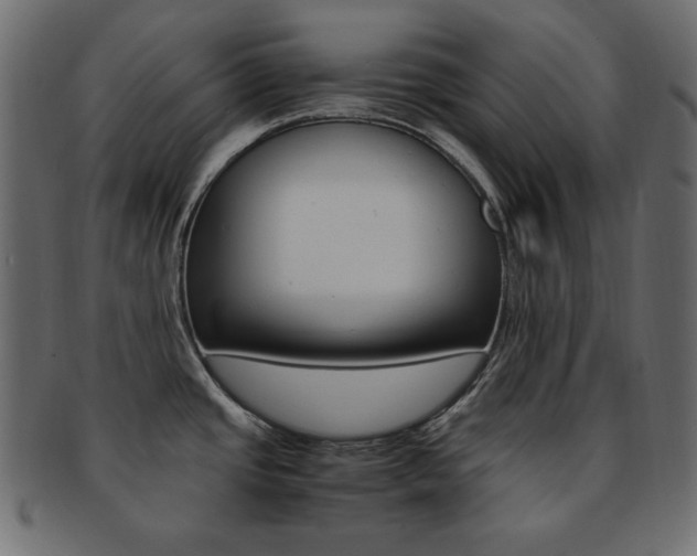 X0000093151437200709261007