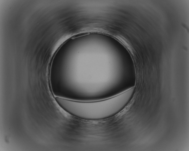 X0000093151438200709261007