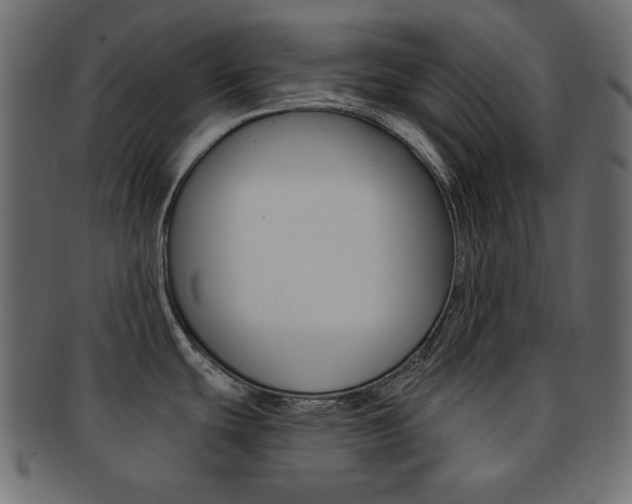 X0000093151439200709261007