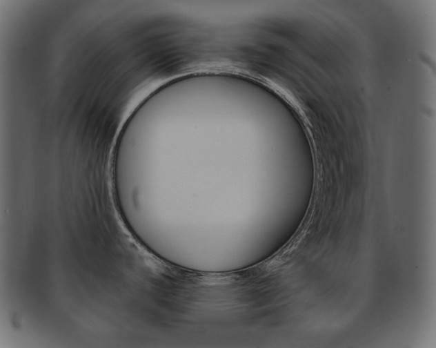 X0000093151440200709261007