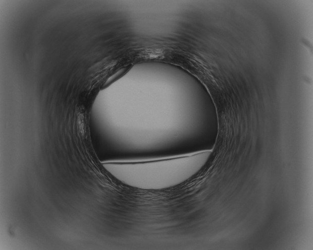 X0000093151442200709261007