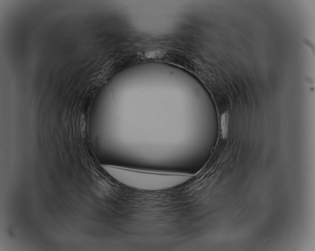 X0000093151443200709261007