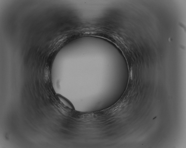 X0000093151444200709261007