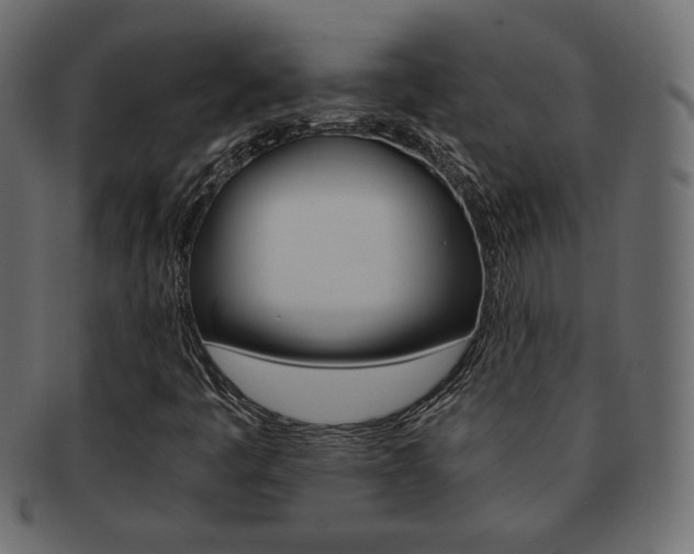 X0000093151445200709261007