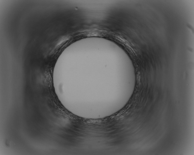 X0000093151446200709261007