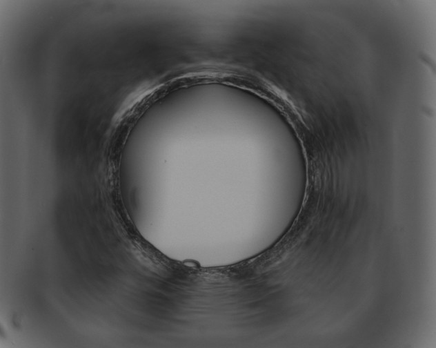 X0000093151448200709261007