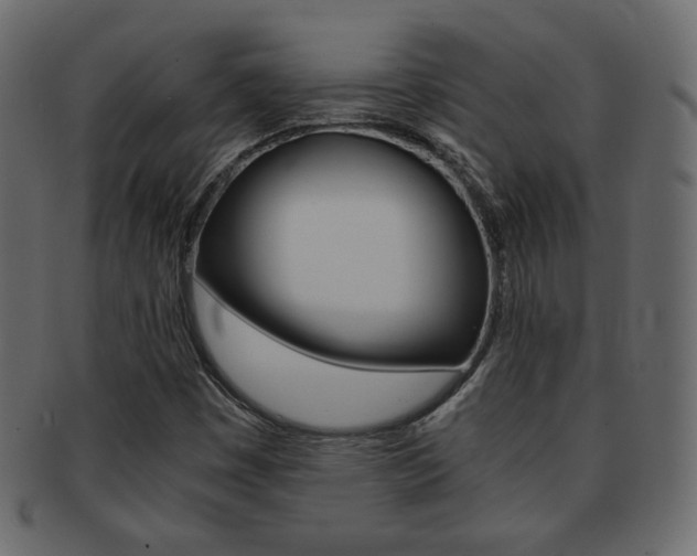 X0000093151449200709261007