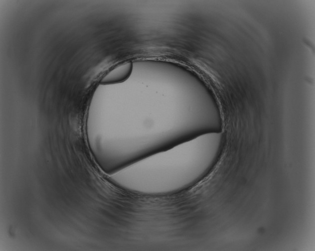 X0000093151451200709261007