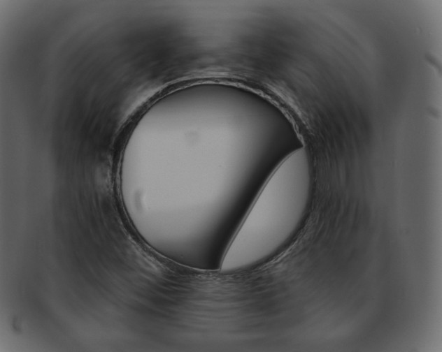X0000093151452200709261007