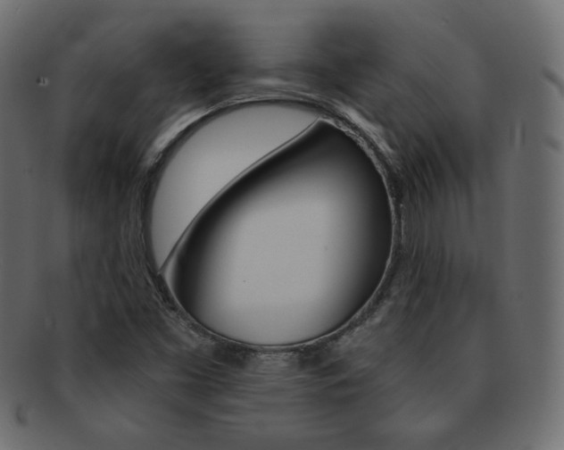 X0000093151453200709261007