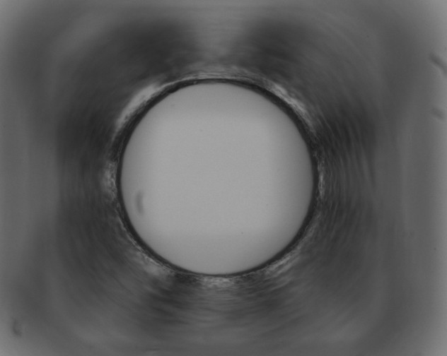 X0000093151454200709261007