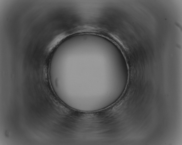 X0000093151455200709261007