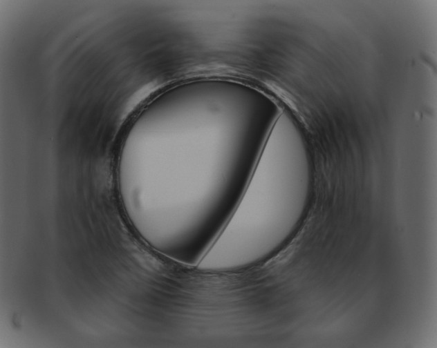 X0000093151458200709261007