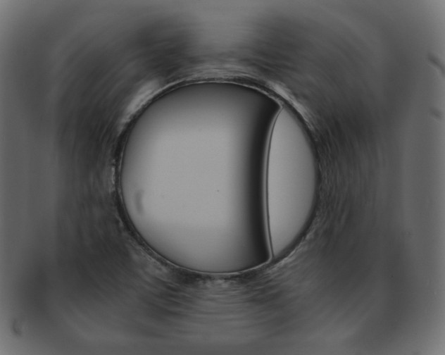 X0000093151459200709261007