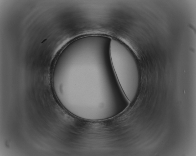 X0000093151460200709261007