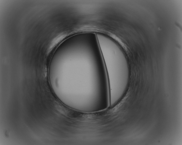 X0000093151461200709261007