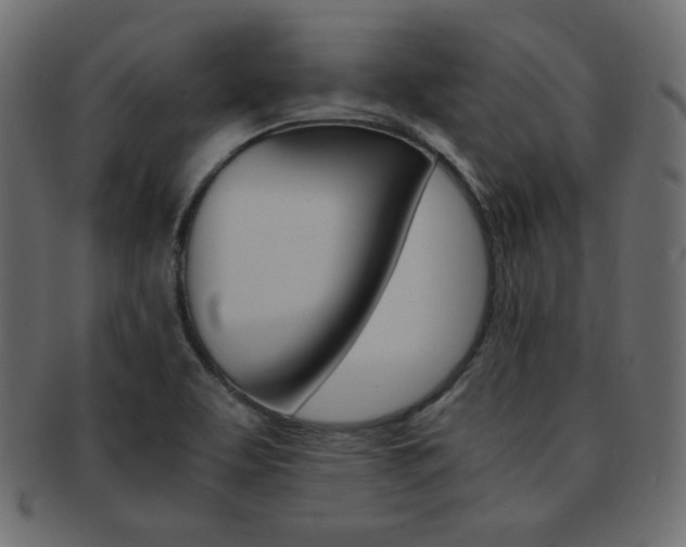 X0000093151463200709261006