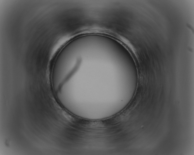 X0000093151464200709261006