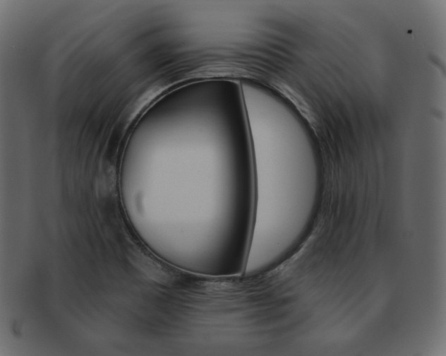 X0000093151465200709261006