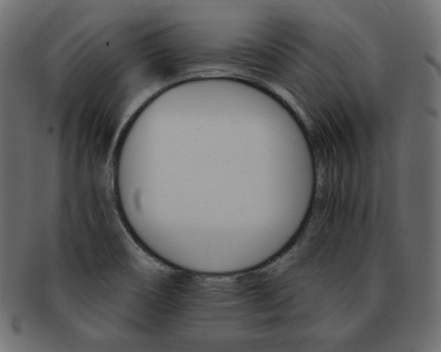 X0000093151466200709261006