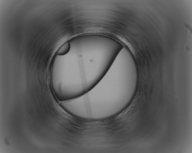 X0000093151467200709261006