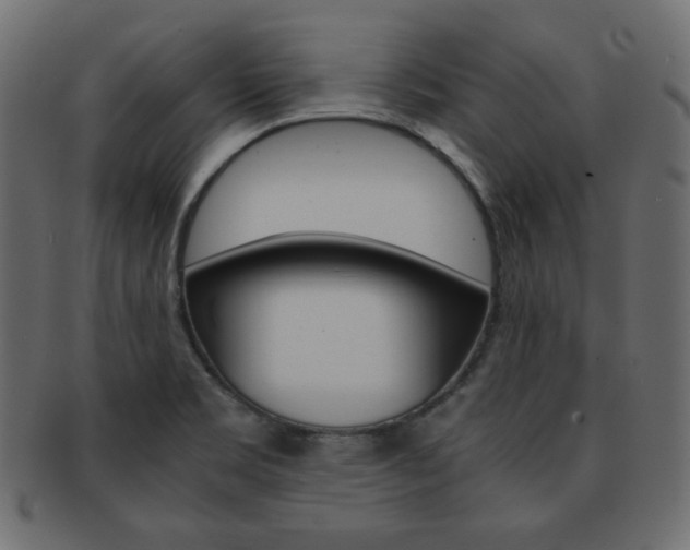X0000093151469200709261006