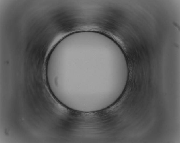 X0000093151470200709261006