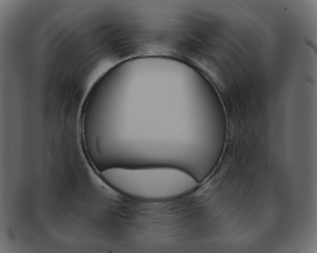 X0000093151471200709261006