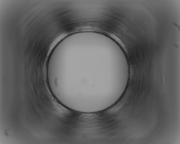 X0000093151474200709261006