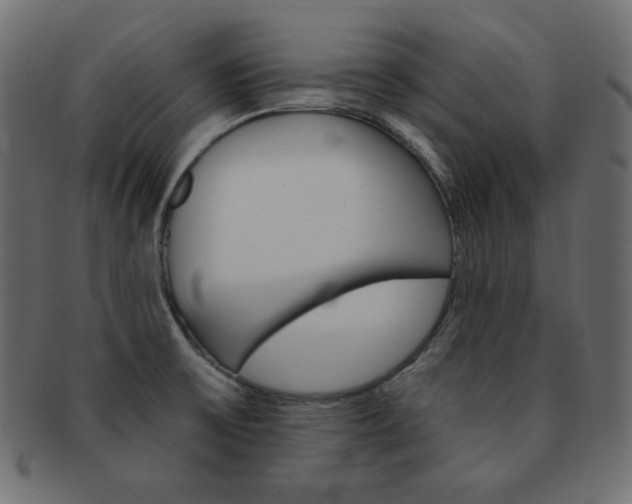X0000093151475200709261006
