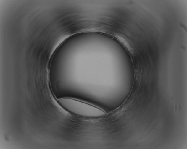 X0000093151476200709261006