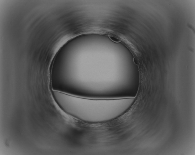 X0000093151479200709261006
