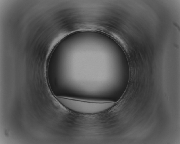 X0000093151480200709261006