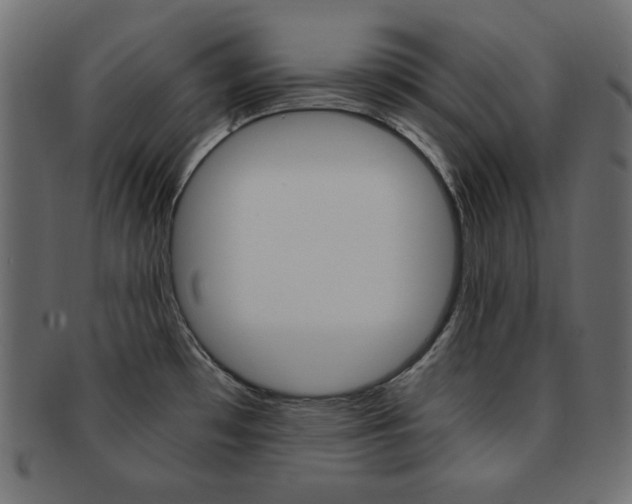 X0000093151481200709261006