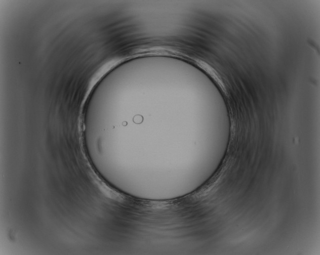 X0000093151482200709261006
