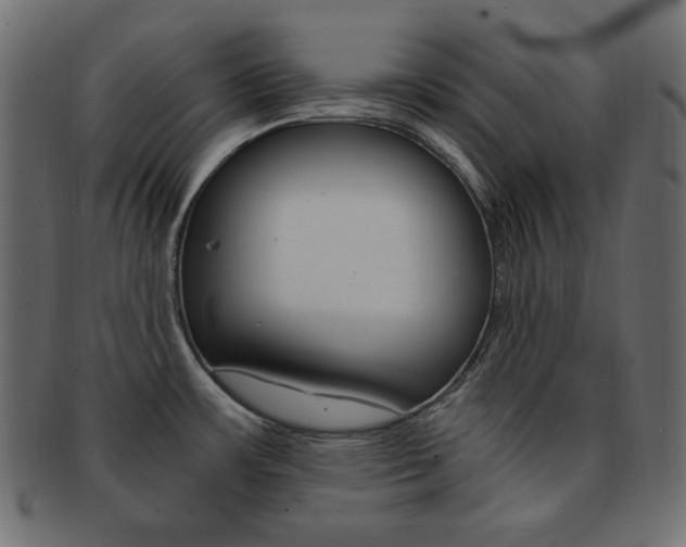 X0000093151483200709261006