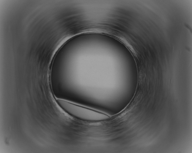 X0000093151484200709261006