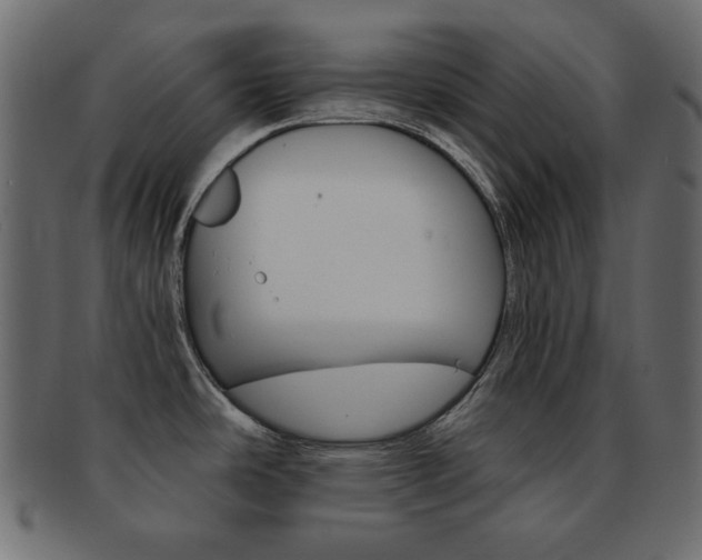 X0000093151486200709261006