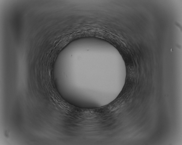X0000093151489200709261006