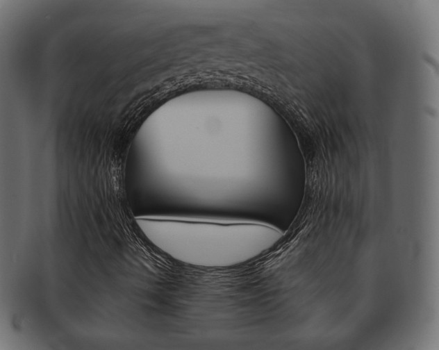 X0000093151490200709261006