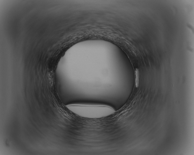 X0000093151491200709261006
