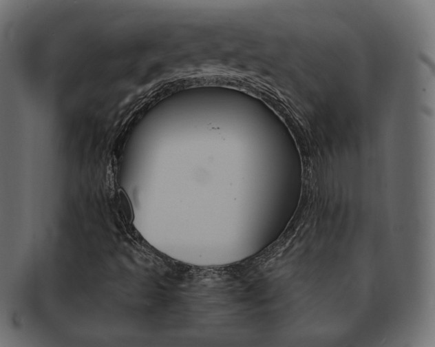 X0000093151493200709261006