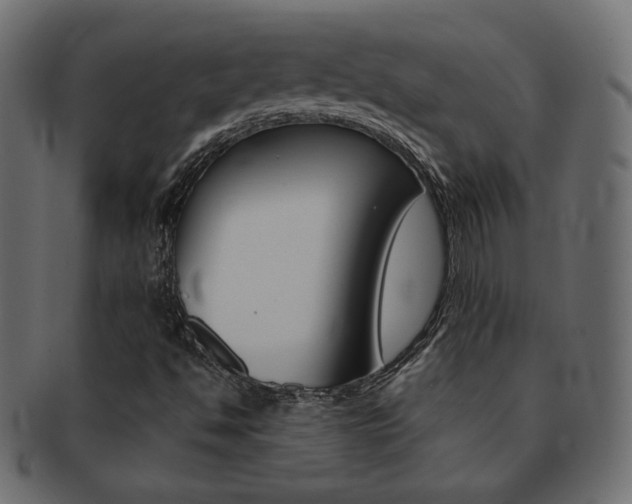 X0000093151494200709261006