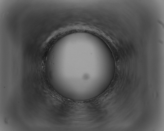 X0000093151495200709261006