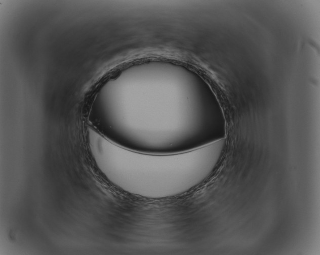 X0000093151496200709261006